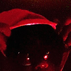 905emerald905's profile picture. 