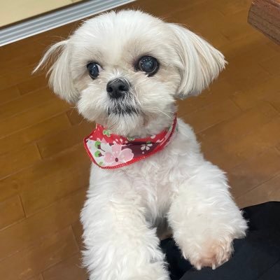 JqqqMbi2apapCHO's profile picture. 