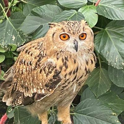 abc748152266's profile picture. こんにちは