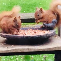 winnie (@winbunny) 's Twitter Profile