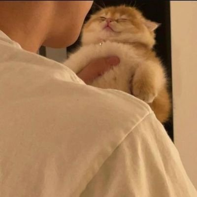 veliushi's profile picture. weheee
this page is slowly becoming a jungwon fanpage😭