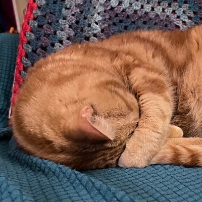 44, š³ļøāšš“ó §ó ¢ó ·ó ¬ó ³ó æšŖšŗ, Head of English, Catholic, shorter than average. Retweet/Follow does not = endorsement. Owned by IG:@benitoburritothecat š
