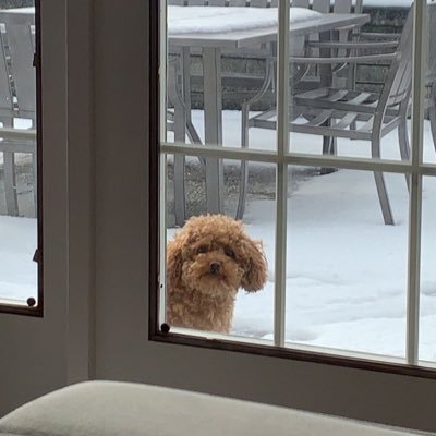 zzzzzvfuvb's profile picture. out of sight ,out of mind