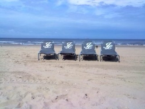 smartalfa's profile picture. 