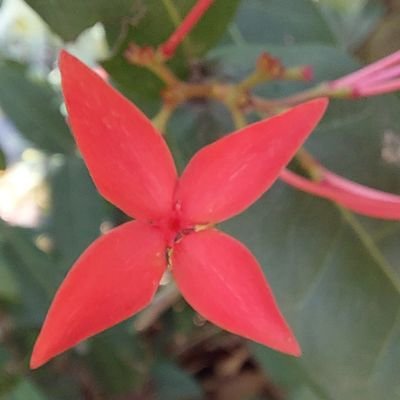 iamsandheep's profile picture. 