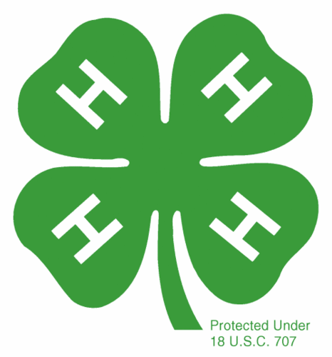 Check out what our youth are doing in Robeson County's 4-H program.