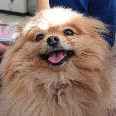 KAME_00129's profile picture. L'Arc～en～Cielと千葉ロッテマリーンズが大好きです。
鍵付き引用はやめてください。