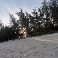 Do Hung Dao ❤️ Memecoin (@dohungdao13234) 's Twitter Profile