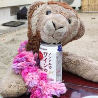 はるぶぅ (@halboo3507) 's Twitter Profile