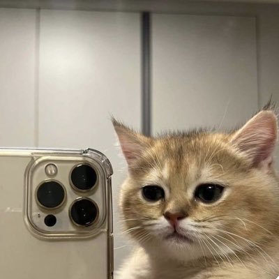 winkwaw's profile picture. 💜f(MeU)💜 มีเรื่องราวมากมายเกิดขึ้นและจบลง