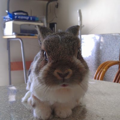 r690805's profile picture. 暖陽微風眼惺忪，蔭下涼臥睡意濃；
蟲鳴鳥聲催眠曲，閒閒沒事夢周公。
---夢迴劍三~不歸醒