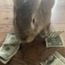 BunnyLikeMoney (@bunnylikemoney1) Twitter profile photo BunnyLikeMoney (@bunnylikemoney1) Twitter profile photo
