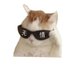 All right (@zaiwutou3) Twitter profile photo All right (@zaiwutou3) Twitter profile photo