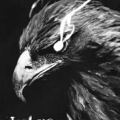 RAWX8K's profile picture. 