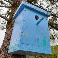 Mensch us em Toggeburg*.68 (@toggenburg86) Twitter profile photo