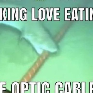 MUNINN1K's profile picture. former victim of soyjack web3 spam advertiser hack