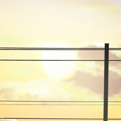 Awsd_1103's profile picture. なんもないよ