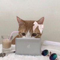 rina (@riinadoll) 's Twitter Profile Photo