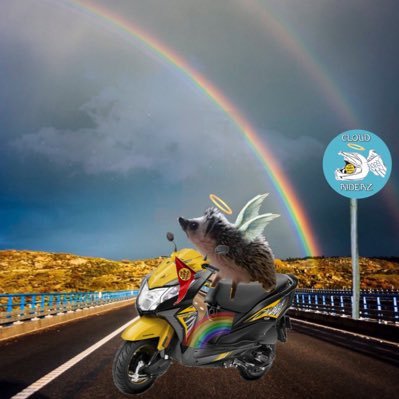 I'm a hedgehog! 🦔 😇Soi una eriza muy tierna y wena Onda 🇲🇽 BFF de @SoyLaGataMini Miembro @TheRuffRiderz #theruffriderz