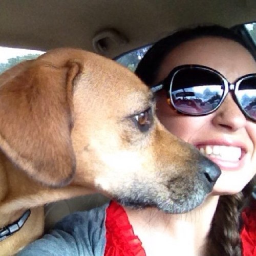 esage83's profile picture. 