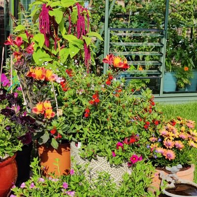 ZEMB's profile picture. 