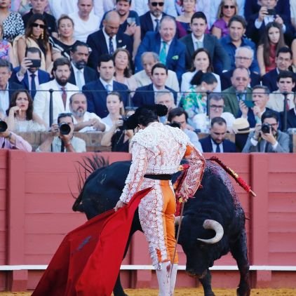 Abogado de la ciudad del Betis. FE en mis creencias