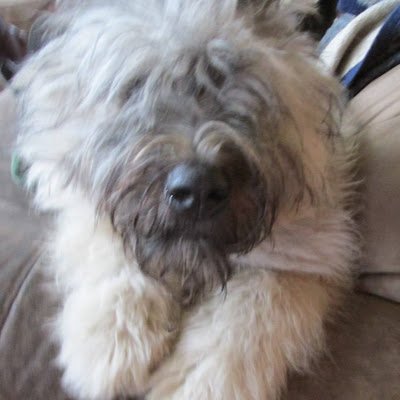 bin_hav91892's profile picture. 