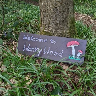 A group of womble-ish woodfolk in Kent- reconnecting people and planet through conservation, crafts & play. Guardians of Wonky Wood and its inhabitants.