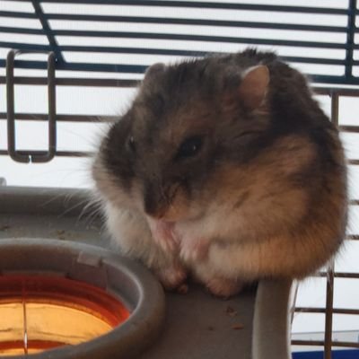 PierreCMarquez's profile picture. 