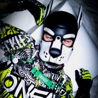 Swaggy (@swe_gear) Twitter profile photo