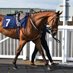 Fish81 (@stirrupsracing) Twitter profile photo Fish81 (@stirrupsracing) Twitter profile photo
