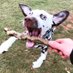ππ¦π³π’ πππ²π€π₯ ππ¬ππ±π₯π’π (@fleurkenloathe) Twitter profile photo ππ¦π³π’ πππ²π€π₯ ππ¬ππ±π₯π’π (@fleurkenloathe) Twitter profile photo