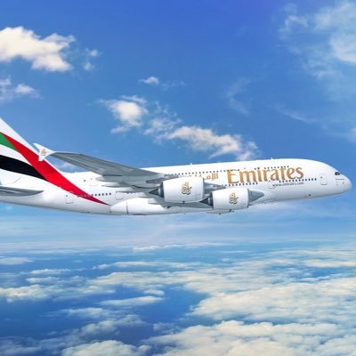 500flighttips's profile picture. 