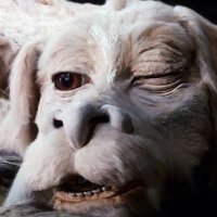 ππππππ (@_forgen) 's Twitter Profile