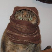 alainbolduque (@alainbolduque) 's Twitter Profile