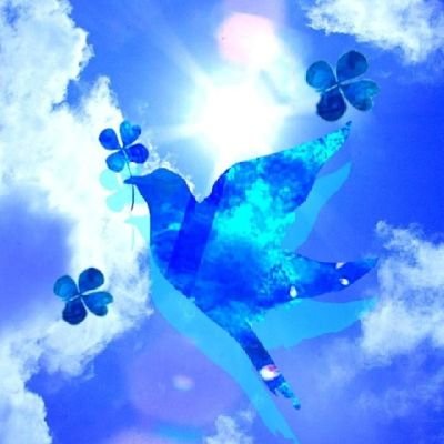 AKIの涼しい鳥さんのプロフィール画像