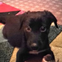 Frecklish1 (@frecklish1) 's Twitter Profile Photo