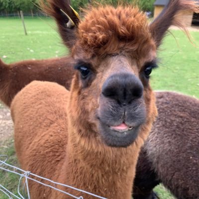 slothtdazzler's profile picture. V injured mum #pots #eds #cfs #fibro #mcas