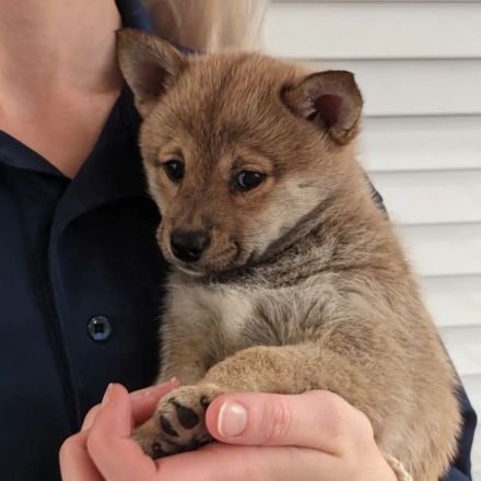 hanafuchihara's profile picture. Born to love and be loved!