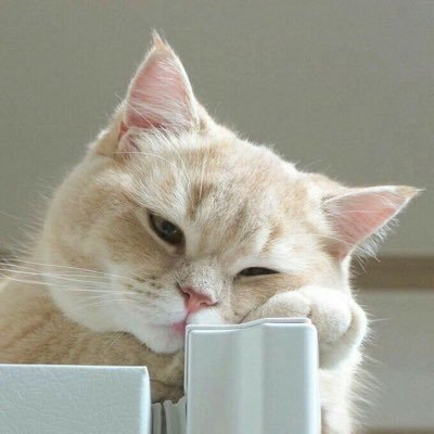 sekalabara's profile picture. 