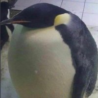 KevWithTheBev (@kevvwiththebevv) 's Twitter Profile