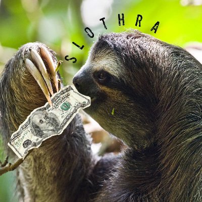 AgainstSlothra Profile