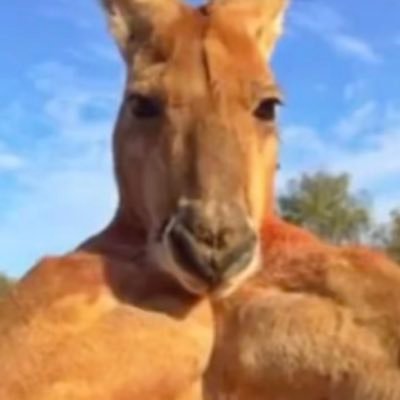 nathanlaine_'s profile picture. 