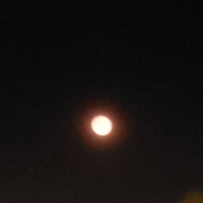 Vitorr_roch's profile picture. .