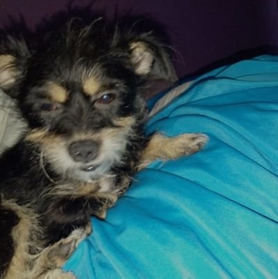 LucasGab_Sil's profile picture. he/him
ele/dele -

Enfermeiro

🏳️‍🌈 -

Téc. Enf. - SESDF -

DEFENDA O SUS!