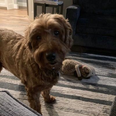 racheulibe99212's profile picture. Born on the