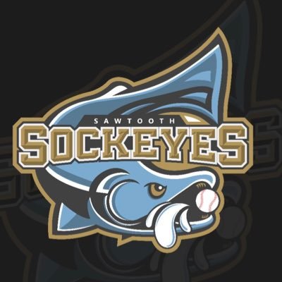 Treasure Valley’s newest summer collegiate baseball team! Back in the summer of 2024! 🎣 🔥 #SlamminSalmon
https://t.co/ZFNbeir3lr