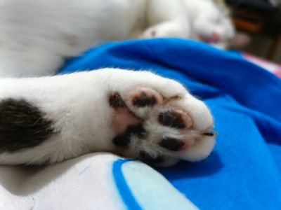 das1319145867's profile picture. 