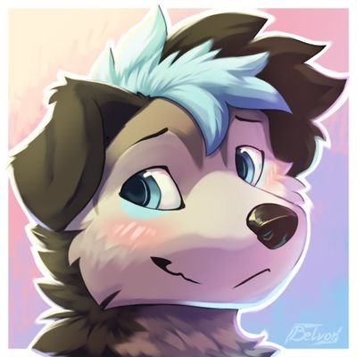 Miyomi_husky Profile Picture