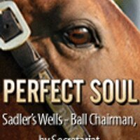 Fipke Stable(@PerfectSoulIRE) 's Twitter Profile Photo